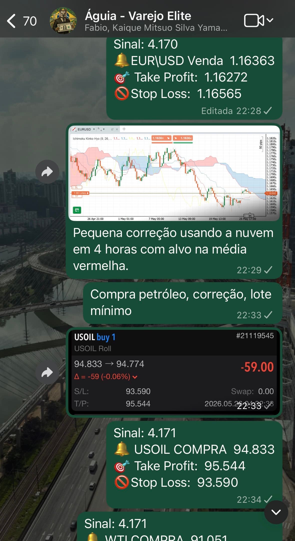 WhatsApp print 02 do Canal Elite Varejo Investidor